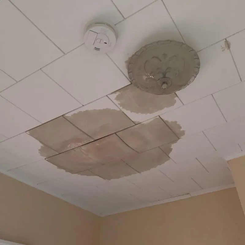 Ceiling Water Damage Repair in Muniz, TX