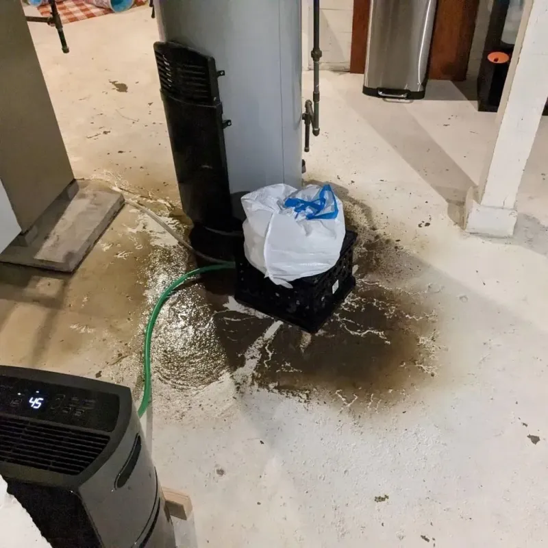 Sewage Backup Cleanup Service in Muniz, TX